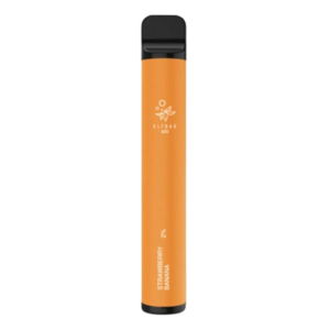 ELFBAR 600 Disposable Vape - Apple Peach Flavour 20mg